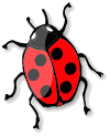 Graphic: Ladybird
