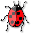 Graphic: Ladybird